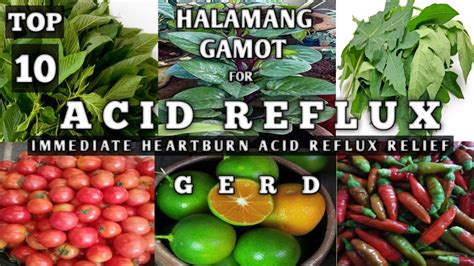 Pagkakaroon ng heartburn o pakiramdam ng pagkakasunog sa dibdib 3. . Gamot sa acid reflux home remedy tagalog